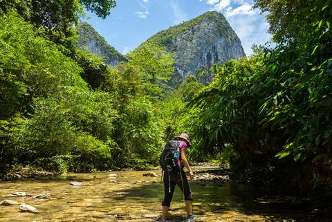 National Parks Tour: Wild Sarawak
