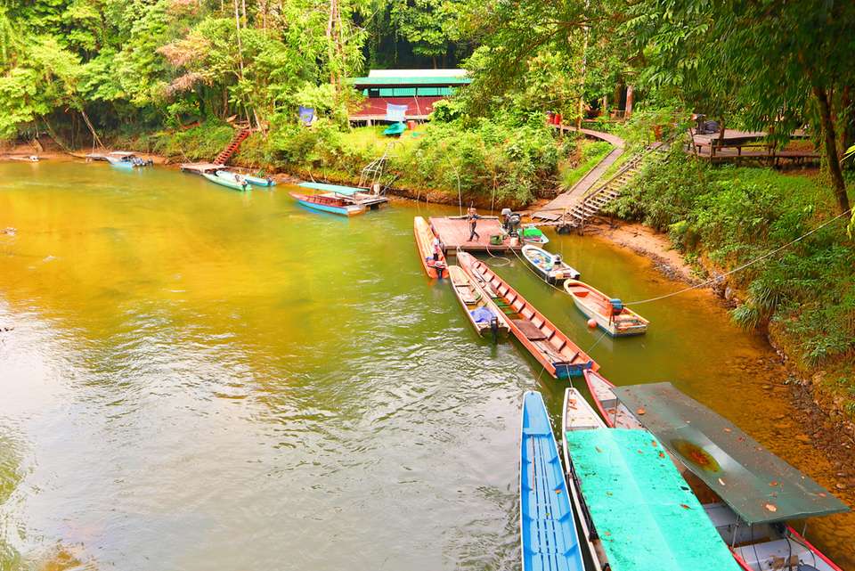 Wild Sarawak - Intrepid Travel - Malaysia - Image 6
