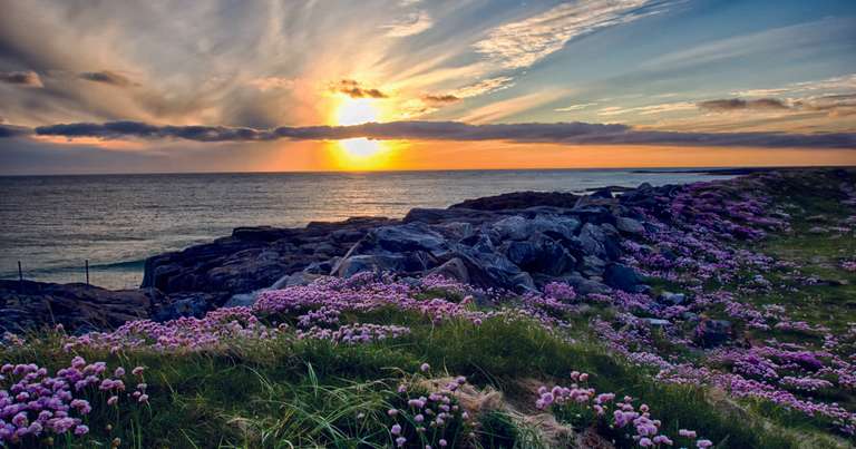 Wild Scotland - Douglas Mawson trip - alternative tour available