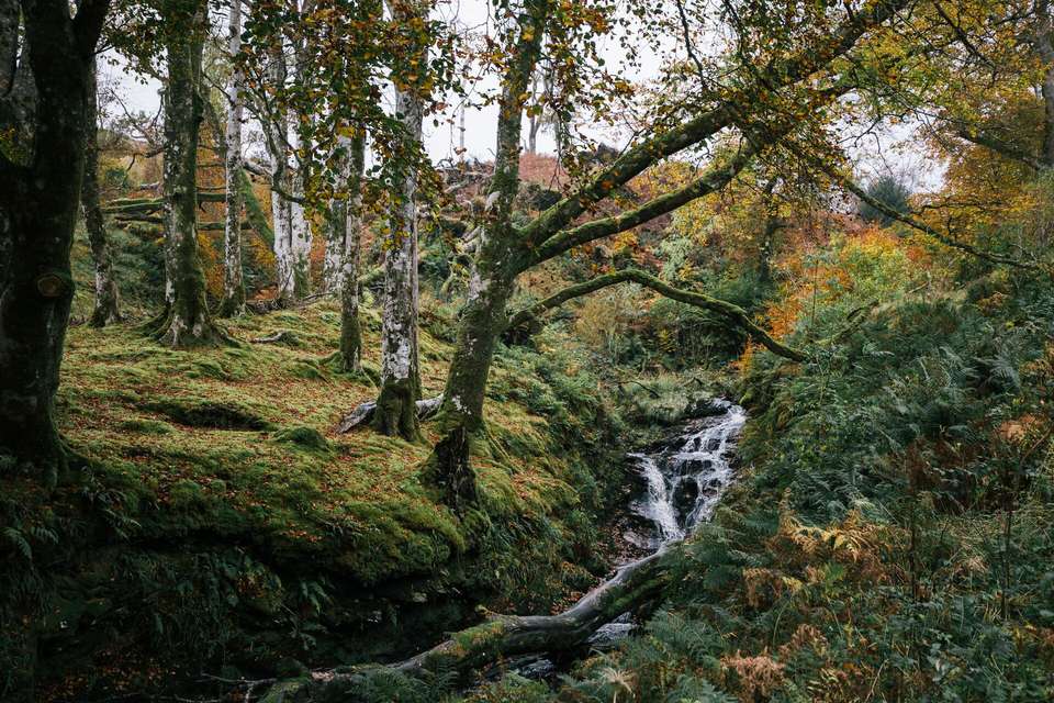 Wild Skye Community & Outdoor Adventure - undefined - Image 10