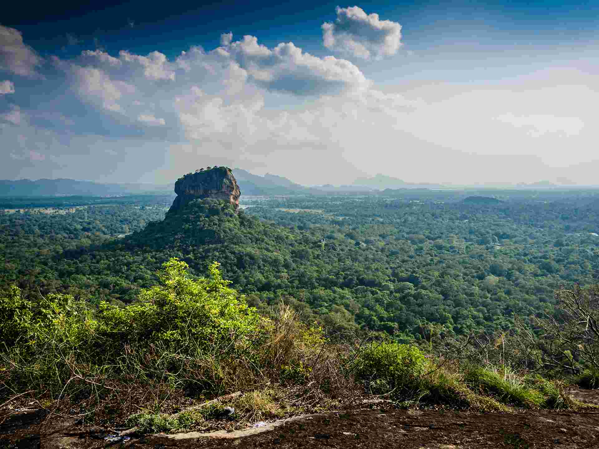 Wild Sri Lanka & Beach for Families - 13 days