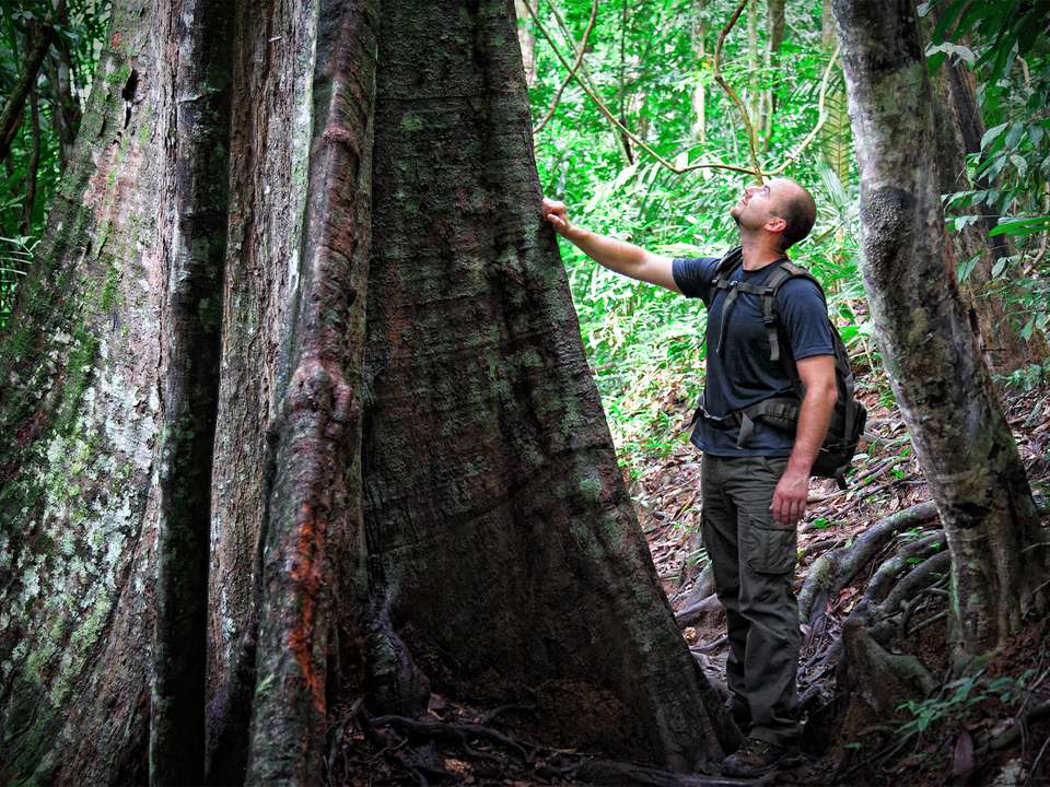Wild Taman Negara Discovery - 4 days - On The Go Tours - Malaysia - Image 3