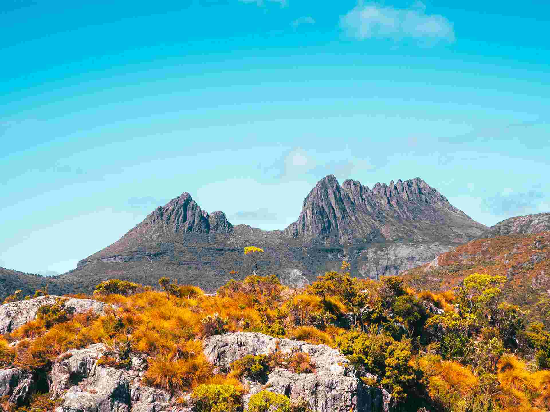 Wild Tasmania & Coastal Wonders - 6 days