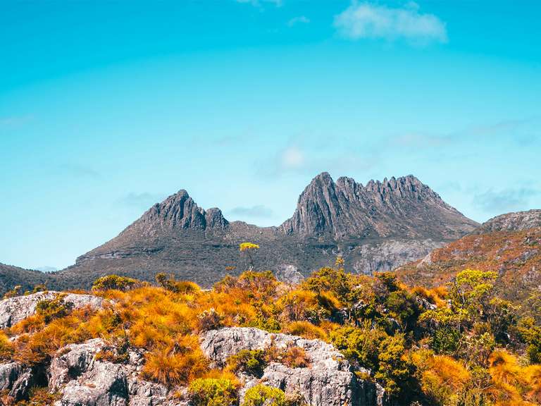 Wild Tasmania & Coastal Wonders - 6 days trip - alternative tour available