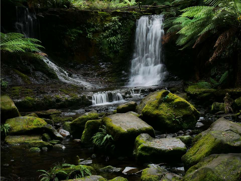 Wild Tasmania & Coastal Wonders - 6 days - undefined - Image 2
