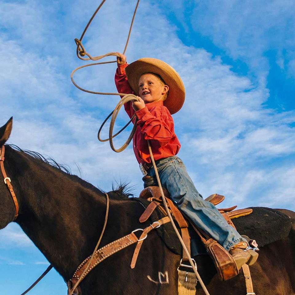Wild West, Cowboys and Buffalos - Trafalgar - USA - Image 6