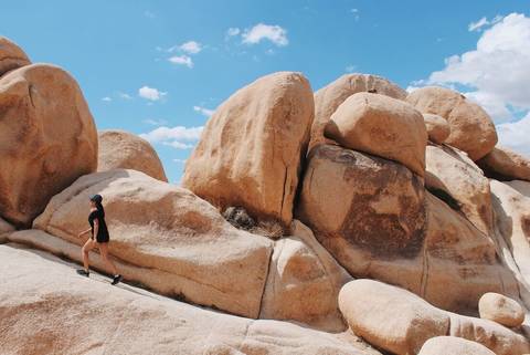 San Francisco Natural Landmarks Sightseeing Tour: Wild Western Usa