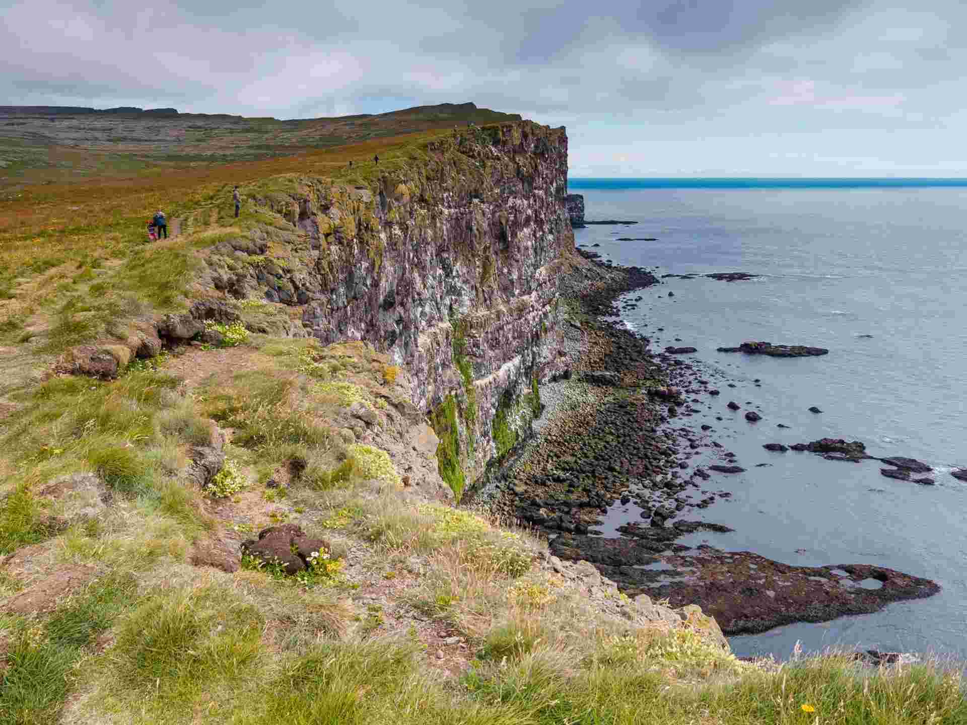 Wild Westfjords Explorer - 3 days