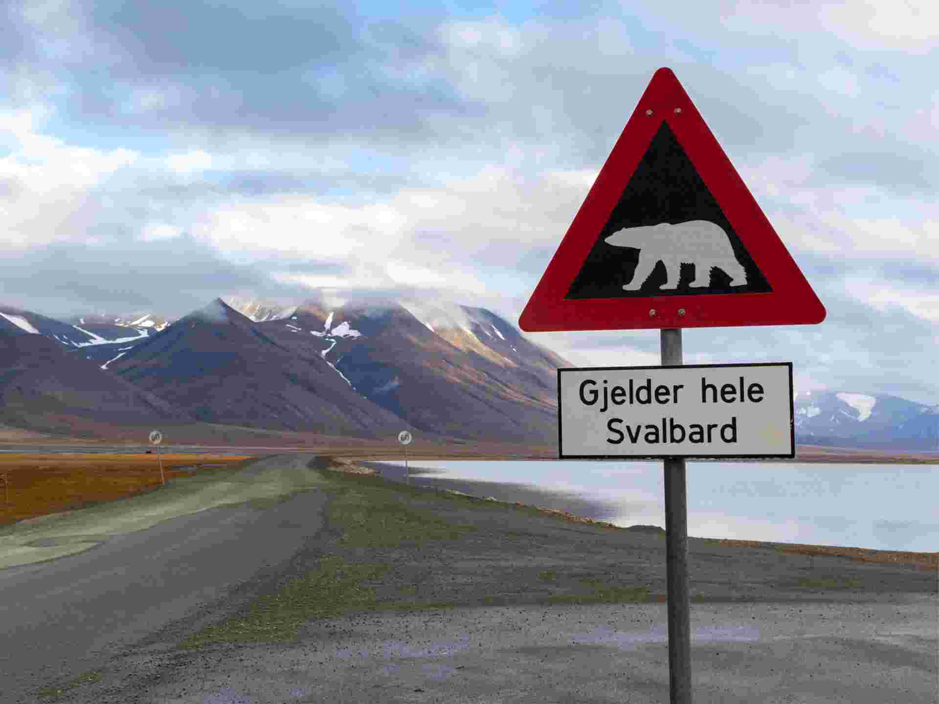 Wild Wonders of the Arctic - 8 days