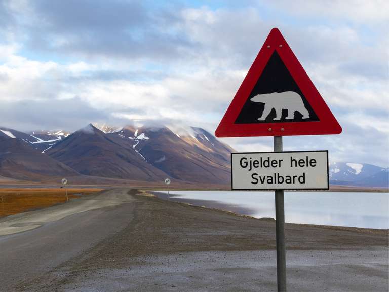 Wild Wonders of the Arctic - 8 days trip - alternative tour available
