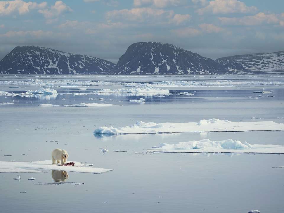 Wild Wonders of the Arctic - 8 days - On The Go Tours - Norway - Image 5