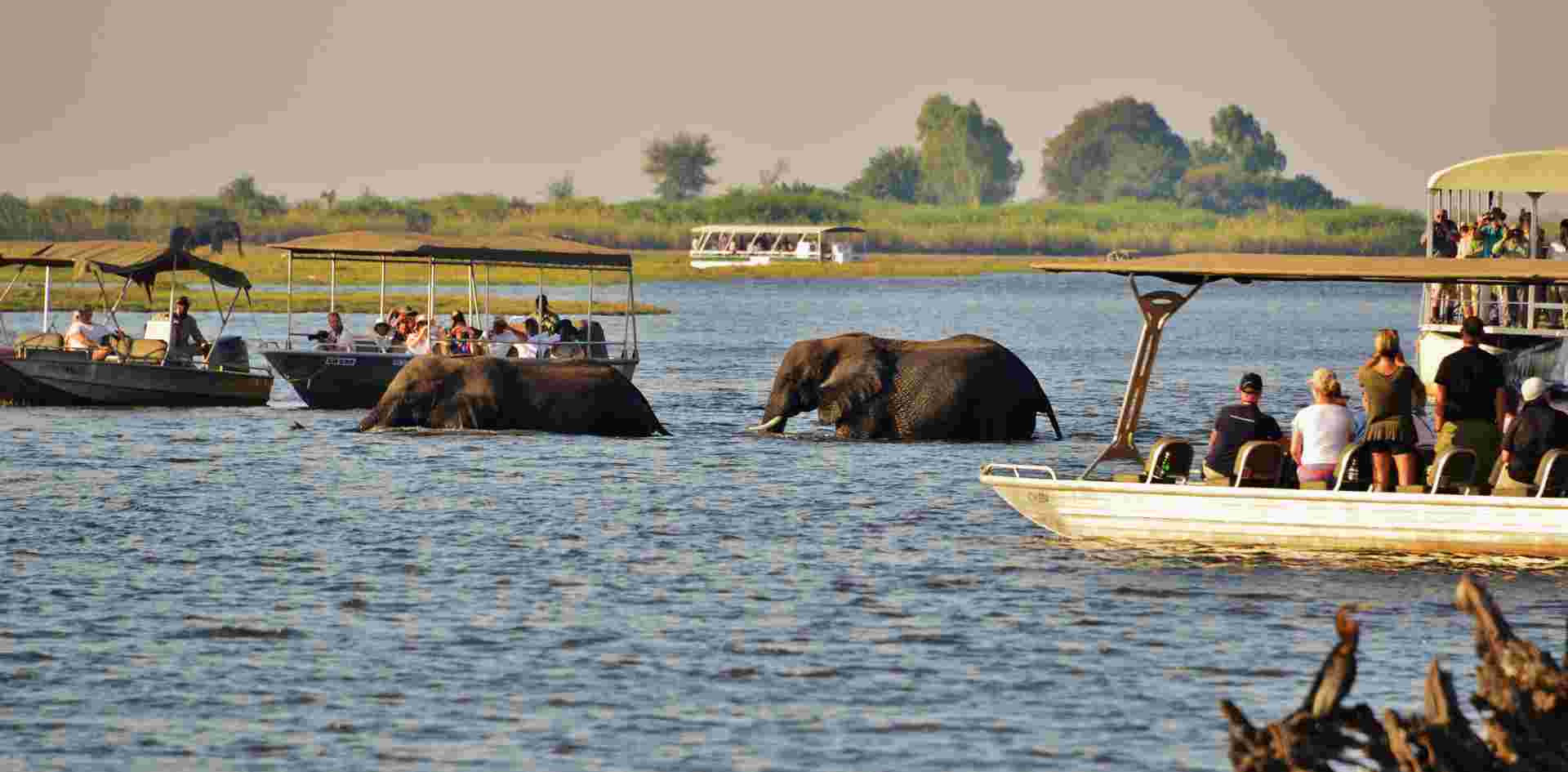 Wilderness of Southern Africa: Safari by Land & Water 