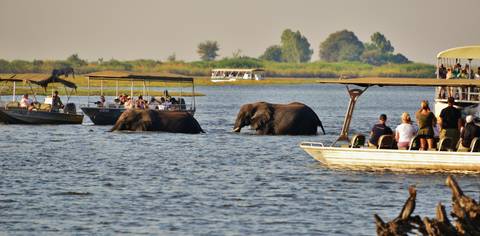 Experienced Travelers Trips: Wilderness Of Southern Africa: Safari By Land & Water
