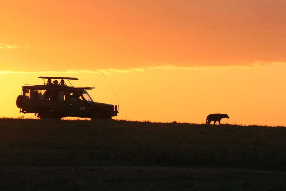 Wilderness of Southern Africa: Safari by Land & Water  - Collette Tours - South Africa - Image 4