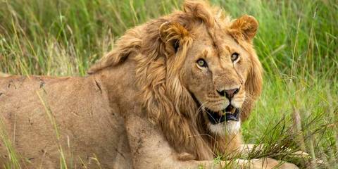 Wildlife & Coastal Wonders Of Kenya: Tsavo To Watamu - August 2027