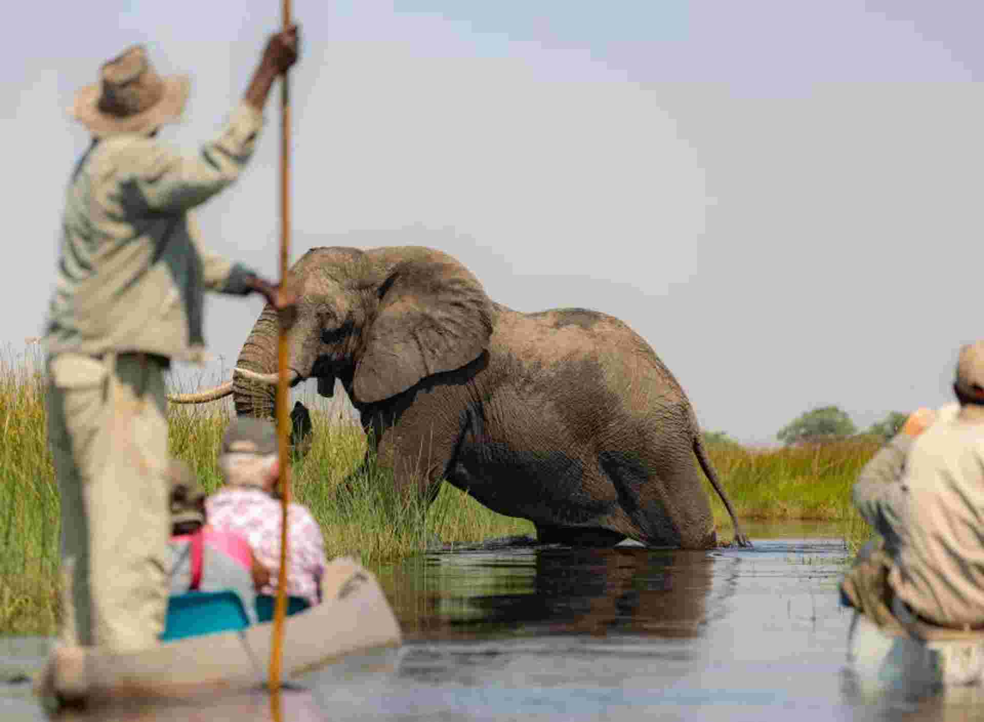 Wildlife and Waterfalls
