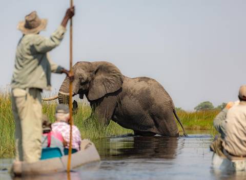 Wildlife And Waterfalls