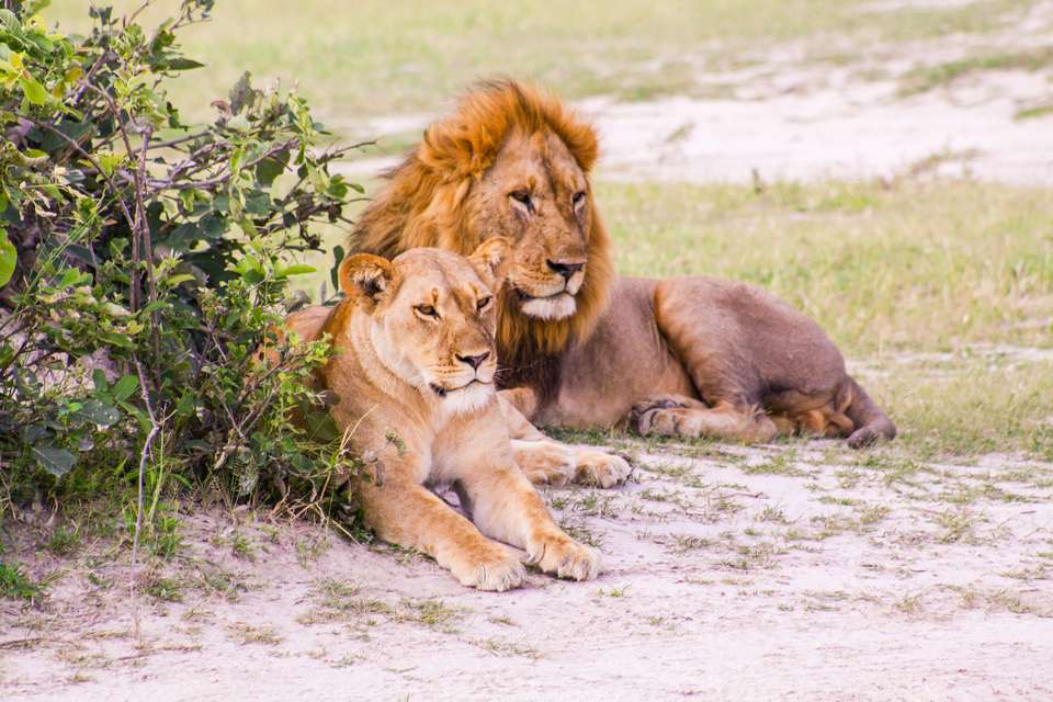 Adventure Tours in Botswana: Thrilling Escapes for UK Explorers - Top Adventure Destinations in Botswana