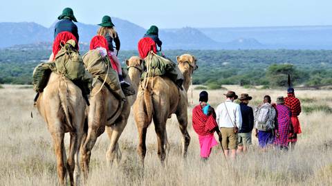 Kenya Tours For Young Adults: Wildlife Safari And Kenyan Communities