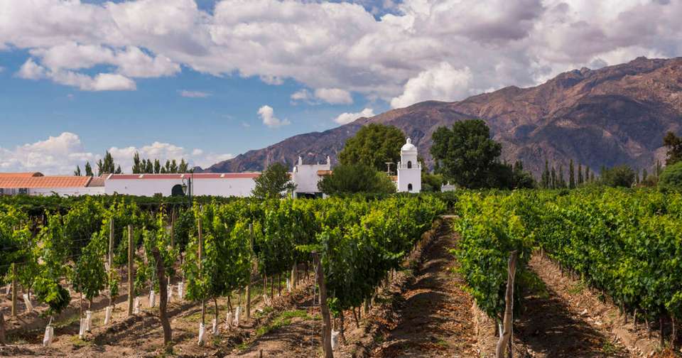 Wine and Landscapes of Argentina's Northwest - Explore - Argentina - Image 20