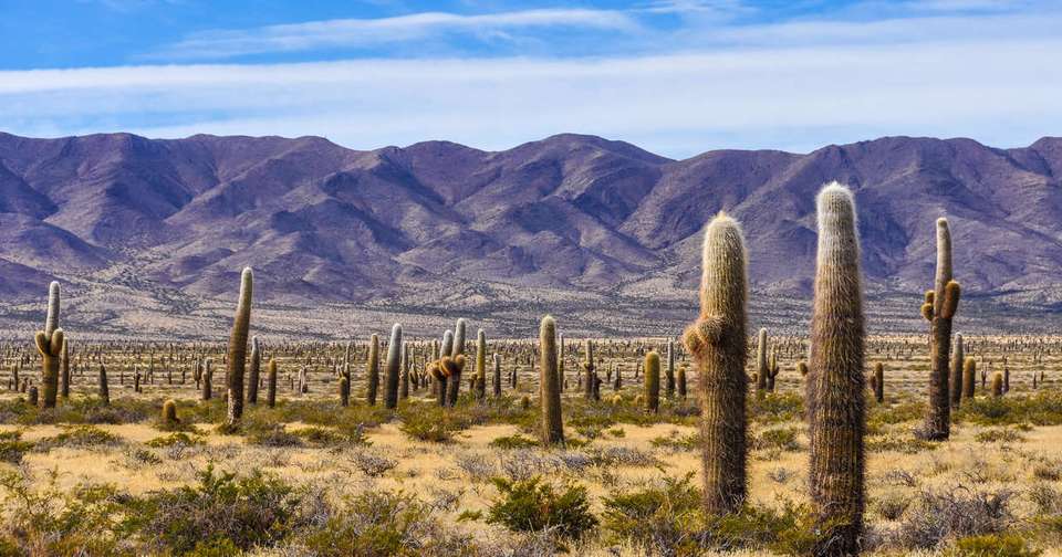 Wine and Landscapes of Argentina's Northwest - Explore - Argentina - Image 13