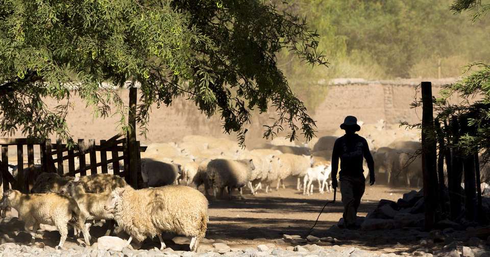 Wine and Landscapes of Argentina's Northwest - Explore - Argentina - Image 6