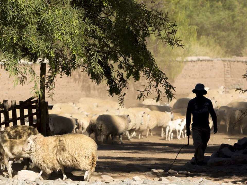 Wine and Landscapes of Argentina's Northwest - undefined - Image 22