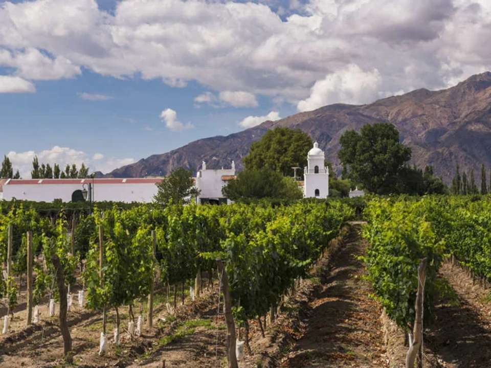 Wine and Landscapes of Argentina's Northwest - undefined - Image 7