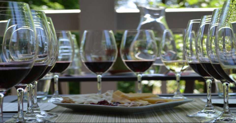 San Francisco: Redwoods and California Wine Country Tour - Extranomical Tours - USA - Image 2