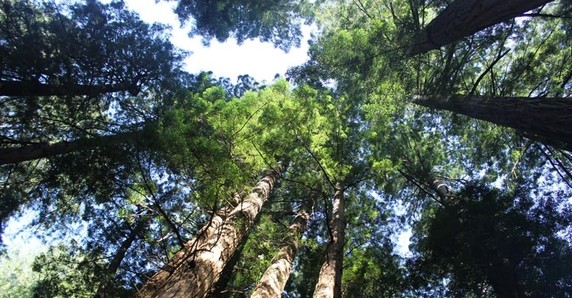 Image 4 of 7