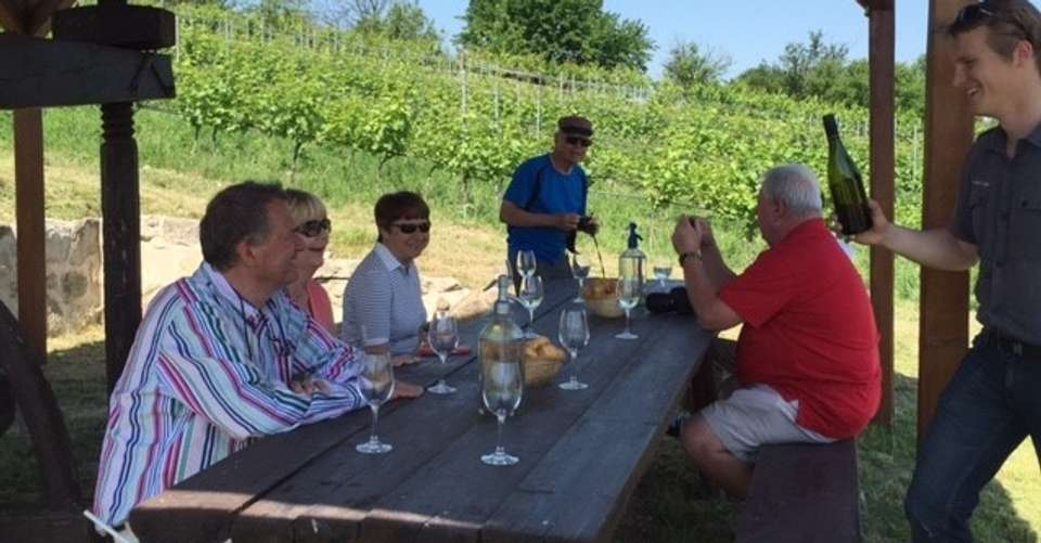 Wine Country Tour & WineTasting With Dinner Near Budapest - City And Wine - Hungary - Image 3