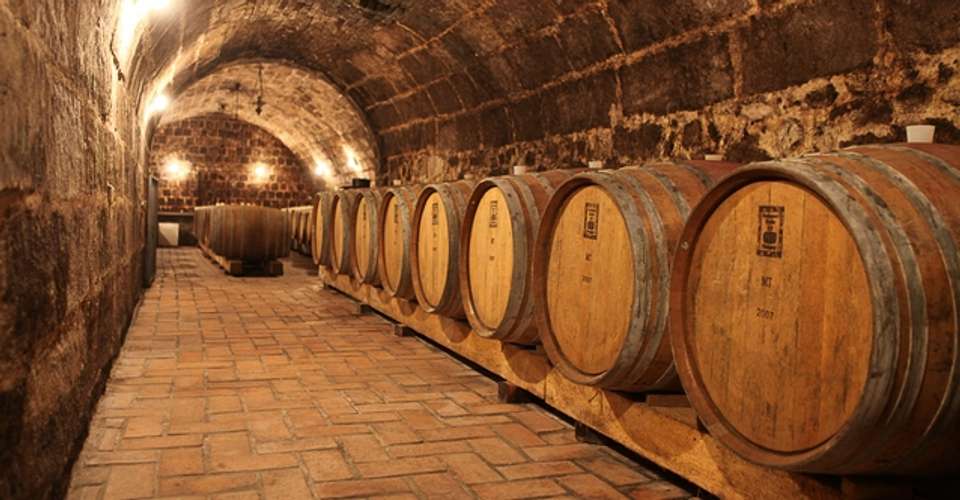 Wine Country Tour & WineTasting With Dinner Near Budapest - City And Wine - Hungary - Image 5