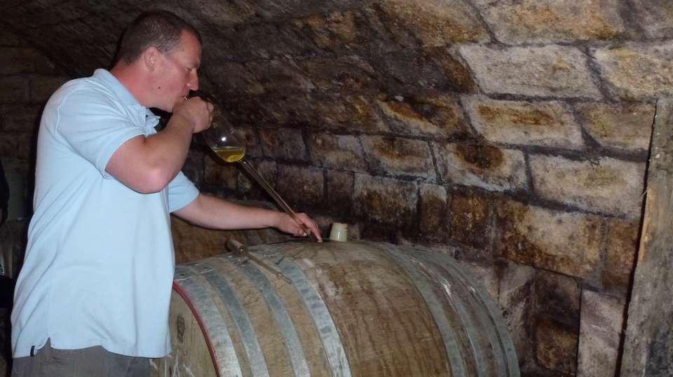Wine Country Tour & WineTasting With Dinner Near Budapest - City And Wine - Hungary - Image 1