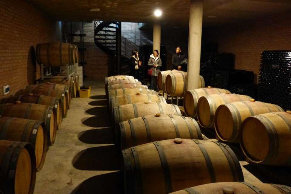 Wine Road in Calamuchita Valley - Tangol Tours - Argentina - Image 2