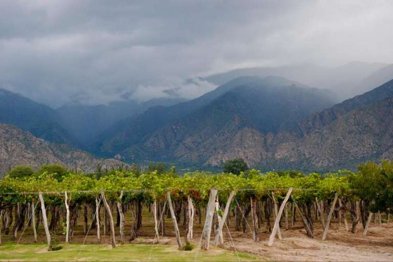 Wine Route from Salta - December 2025