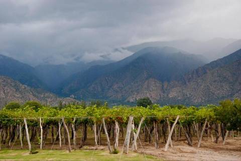 South America Tailor-made Vacation Packages: Wine Route From Salta