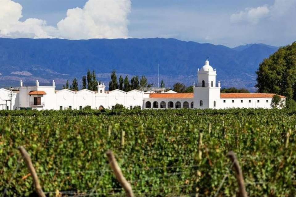 Wine Route from Salta - Tangol Tours - Argentina - Image 4