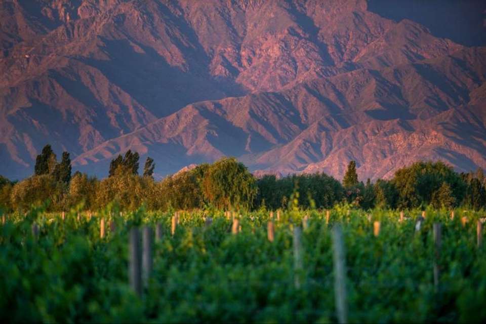 Wine Route from Salta - Tangol Tours - Argentina - Image 5