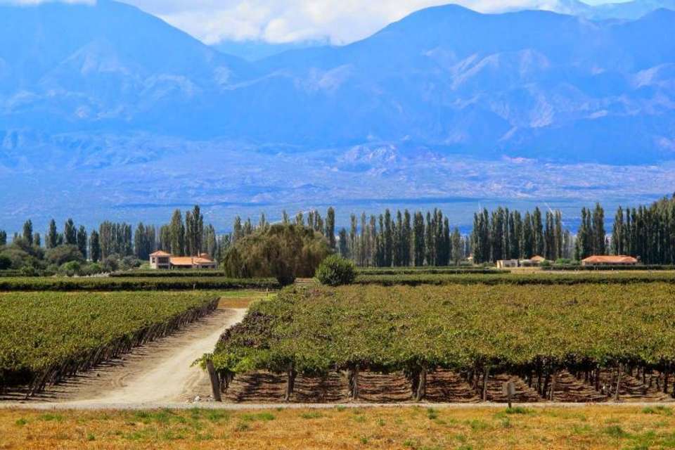 Wine Route from Salta - Tangol Tours - Argentina - Image 6