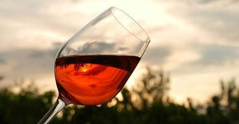 Wine tasting in a typical “masseria” trip - alternative tour available