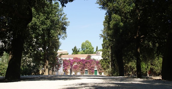Image 2 of 7