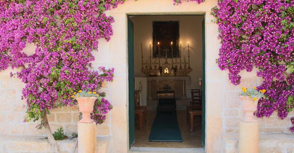 Wine tasting in a typical “masseria” - Associazione Culturale "le Terre Di Federico" - Italy - Image 3