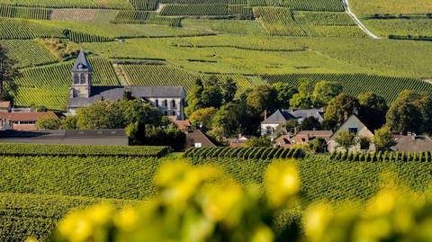 Wine Tasting In The Champagne Region - October 2026