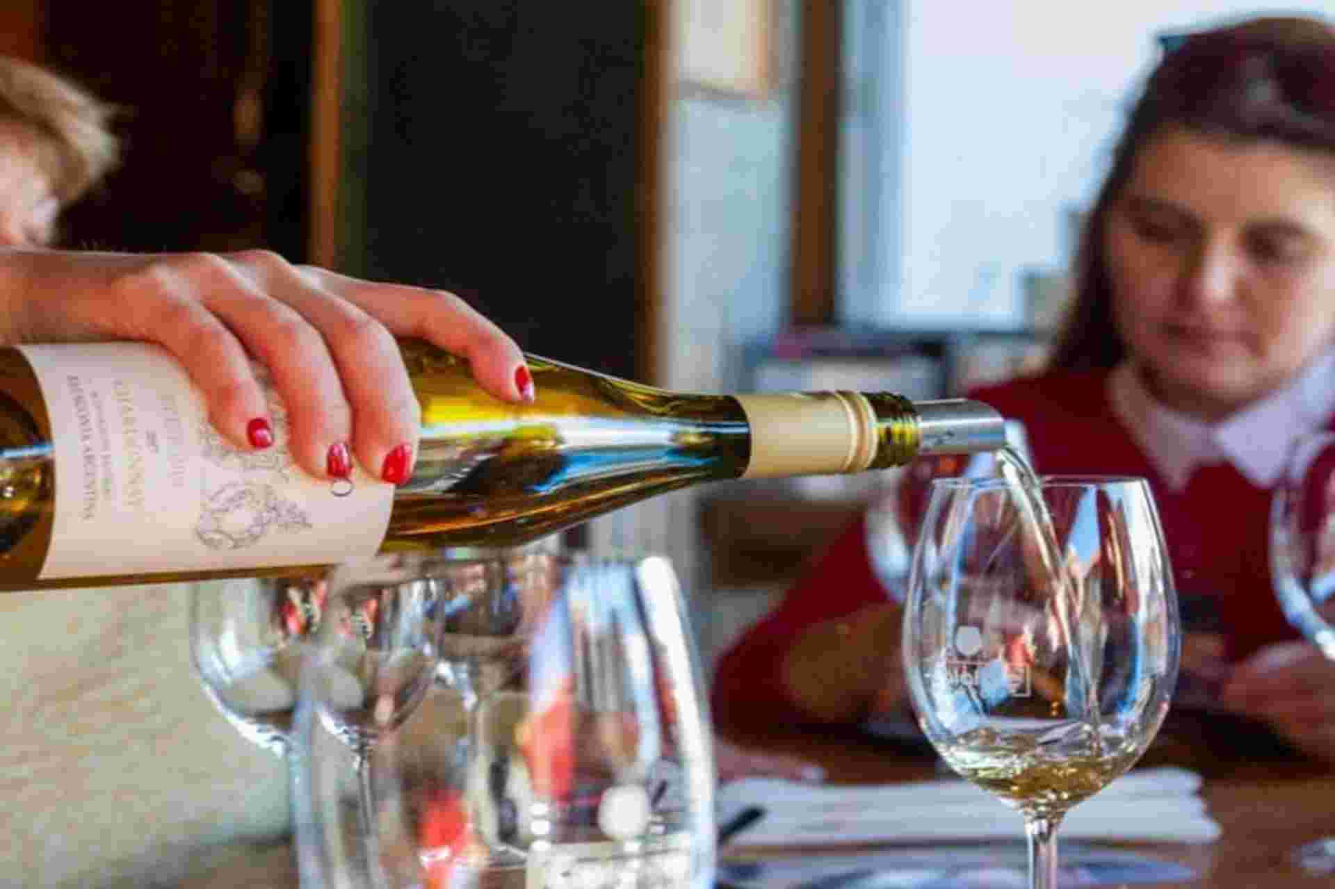 Wine Tasting Tour in El Calafate