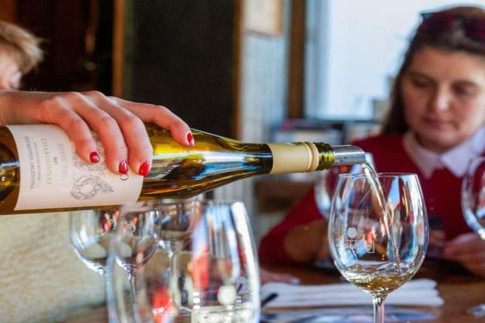 Wine Tasting Tour in El Calafate - Tangol Tours - Argentina