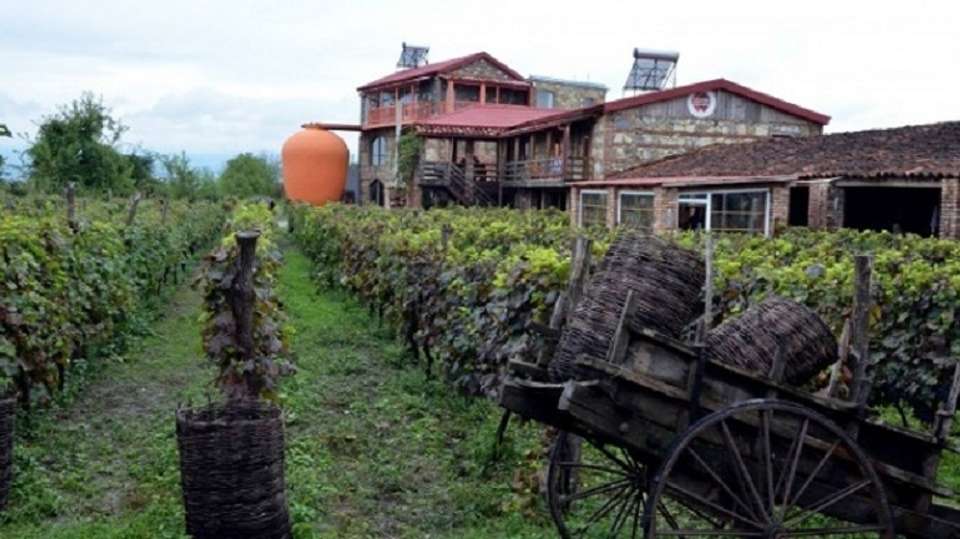 Wine Tour in Kakheti - Georgian Holidays Llc - Georgia - Image 3