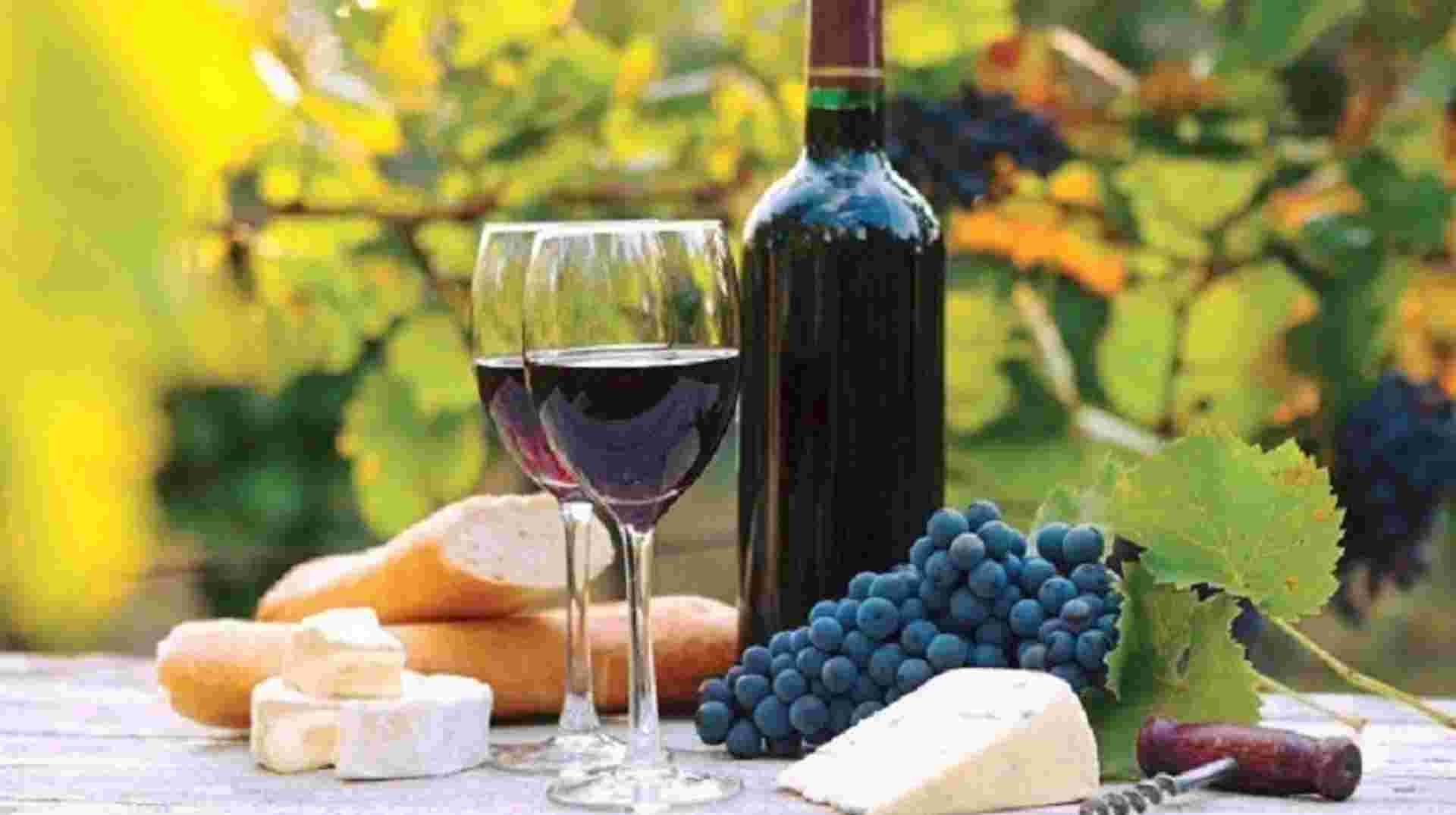 Wine Tour in Kakheti