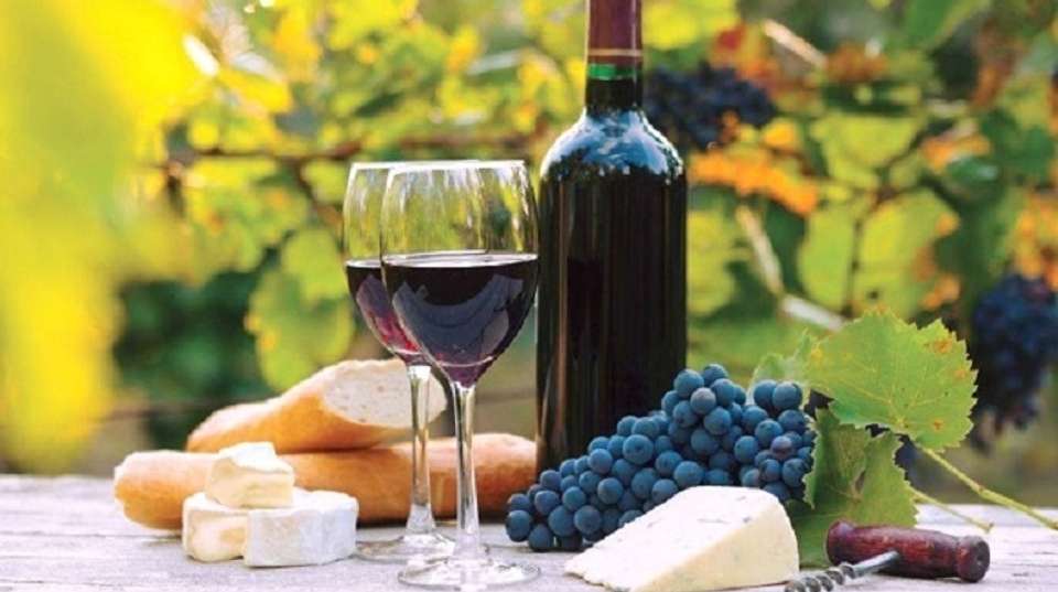 Wine Tour in Kakheti - Georgian Holidays Llc - Georgia - Image 1