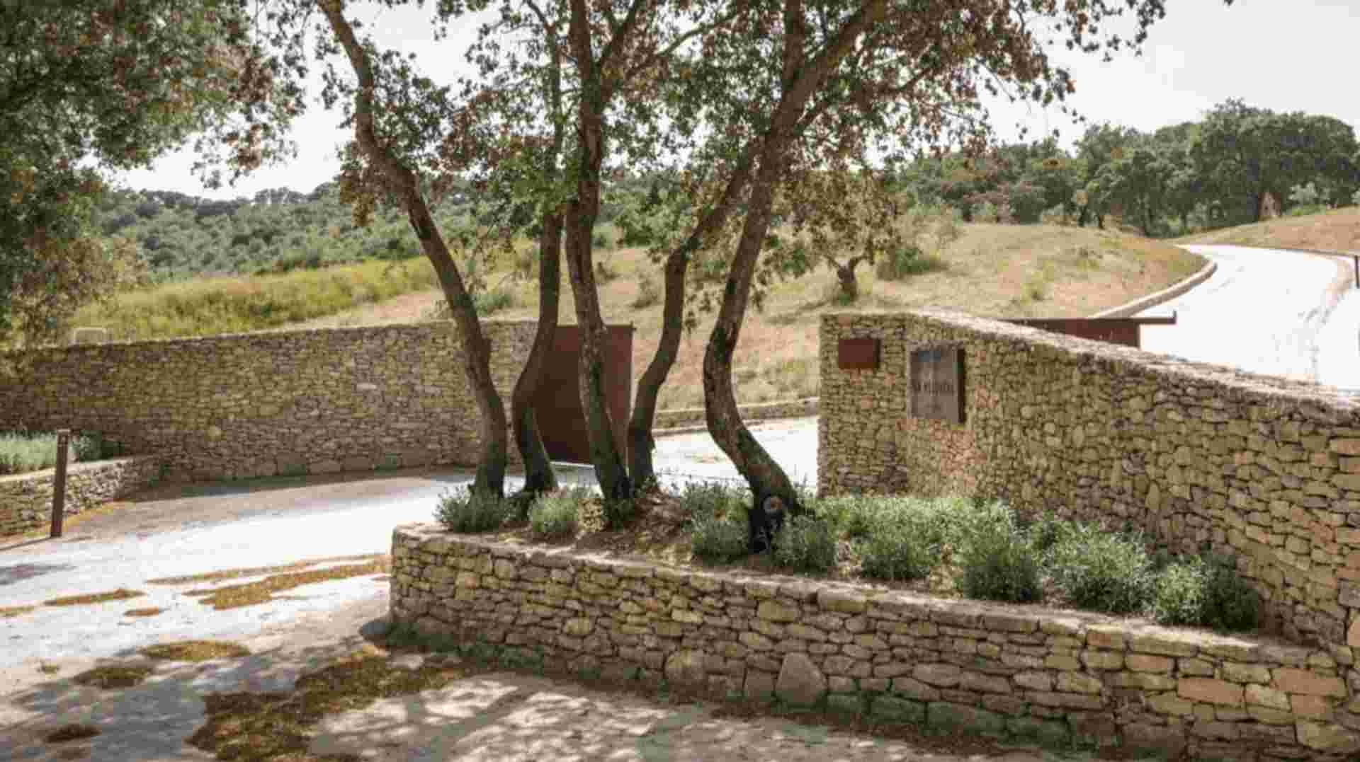 Winery Tour With Tapas In Ronda