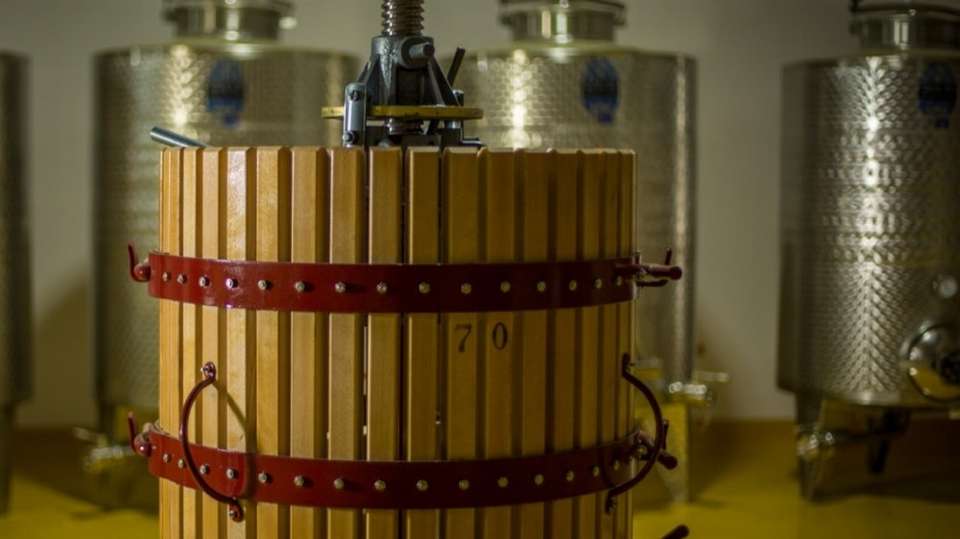 Winery Tour With Tapas In Ronda - Costa Excursions - Spain - Image 5